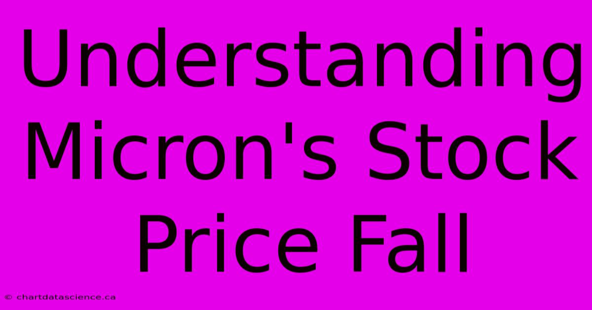 Understanding Micron's Stock Price Fall