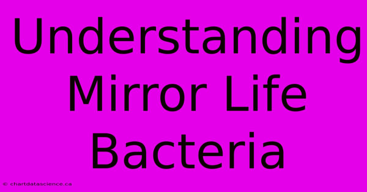 Understanding Mirror Life Bacteria