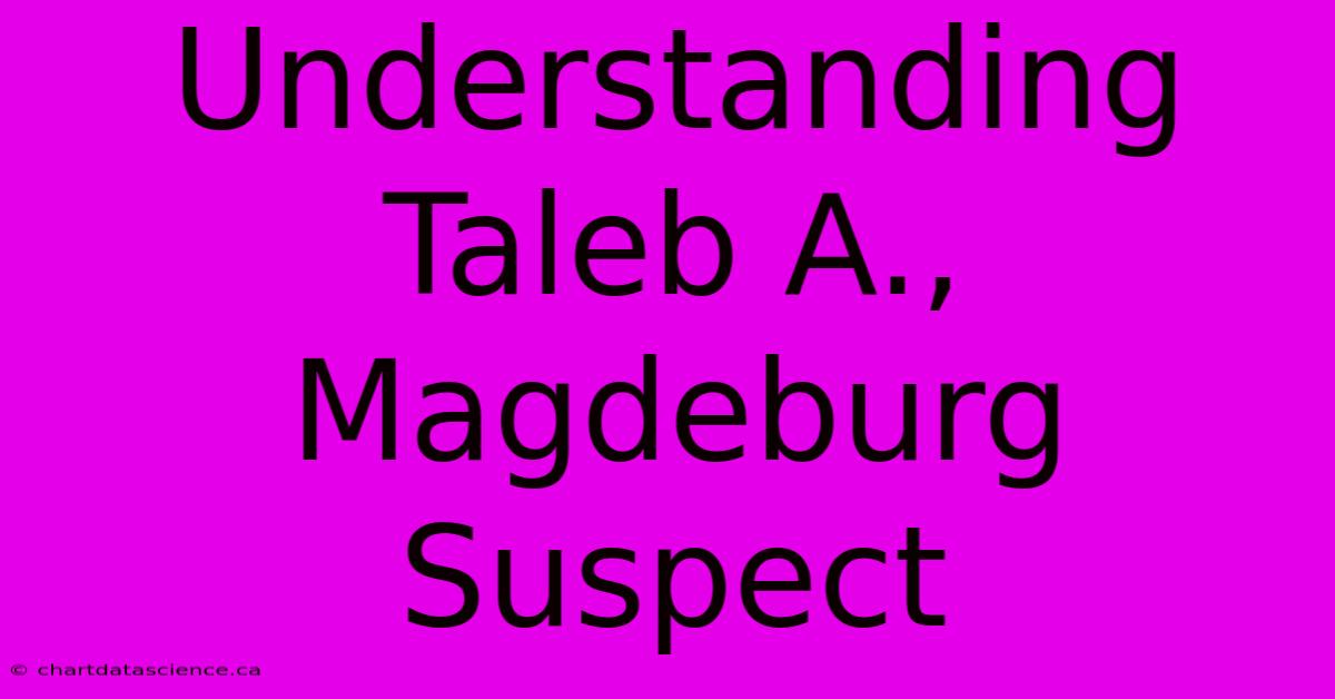 Understanding Taleb A., Magdeburg Suspect