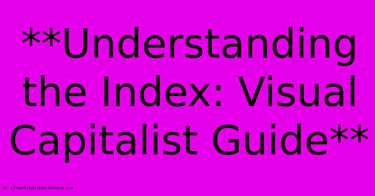 **Understanding The Index: Visual Capitalist Guide**