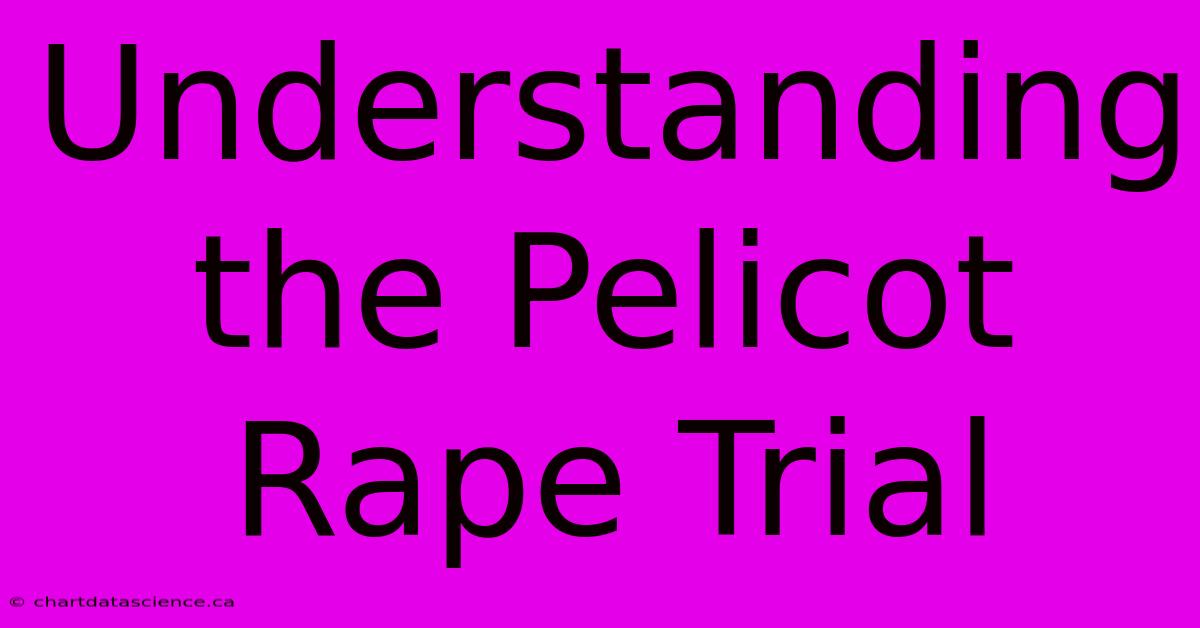 Understanding The Pelicot Rape Trial