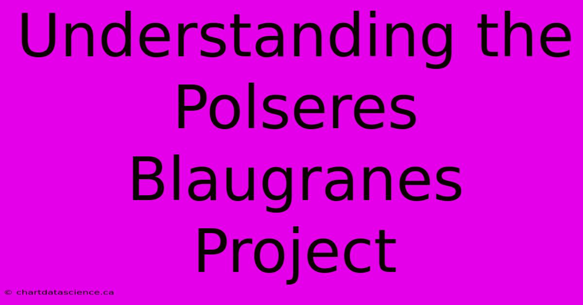 Understanding The Polseres Blaugranes Project