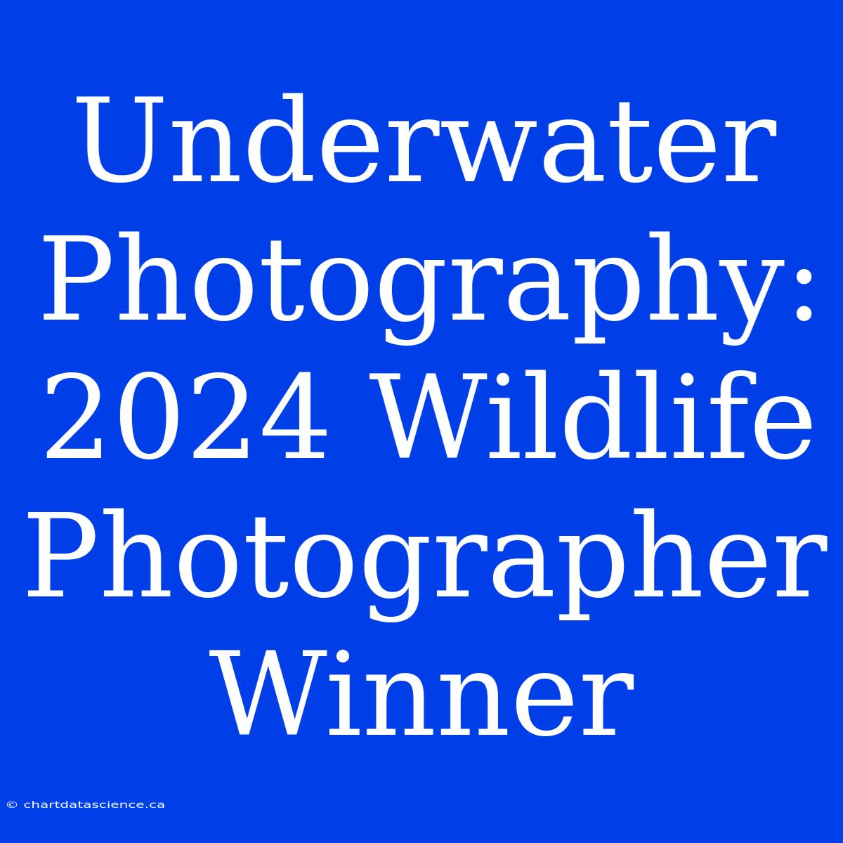 Underwater Photography: 2024 Wildlife Photographer Winner