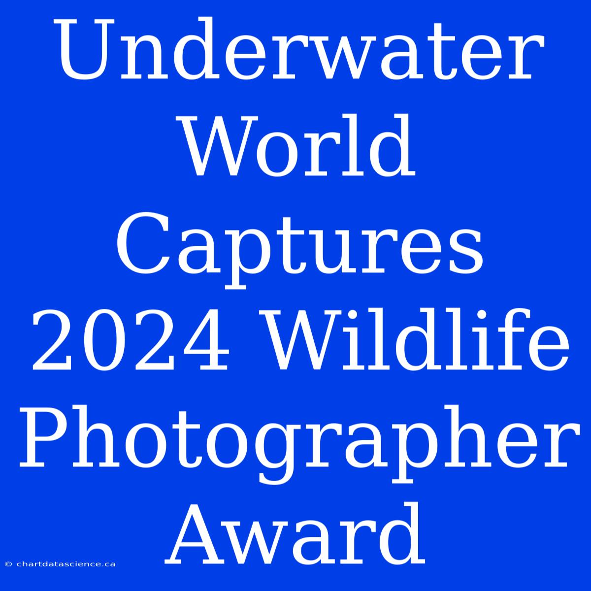 Underwater World Captures 2024 Wildlife Photographer Award