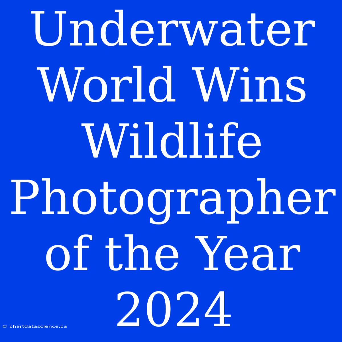 Underwater World Wins Wildlife Photographer Of The Year 2024