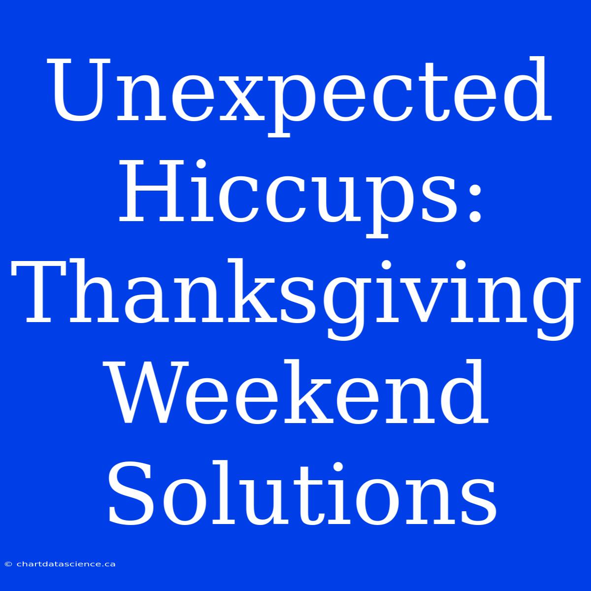 Unexpected Hiccups: Thanksgiving Weekend Solutions