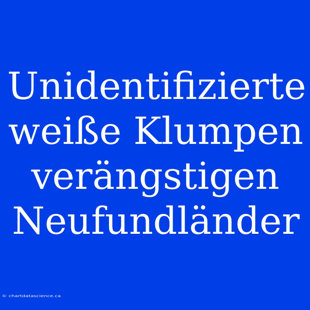 Unidentifizierte Weiße Klumpen Verängstigen Neufundländer