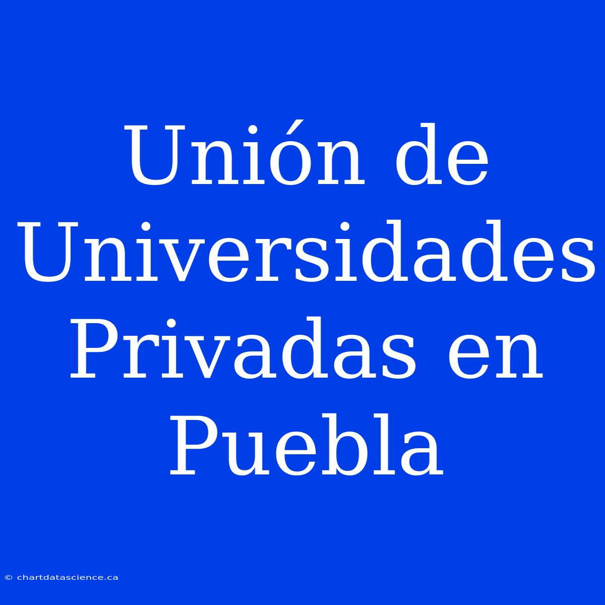 Unión De Universidades Privadas En Puebla