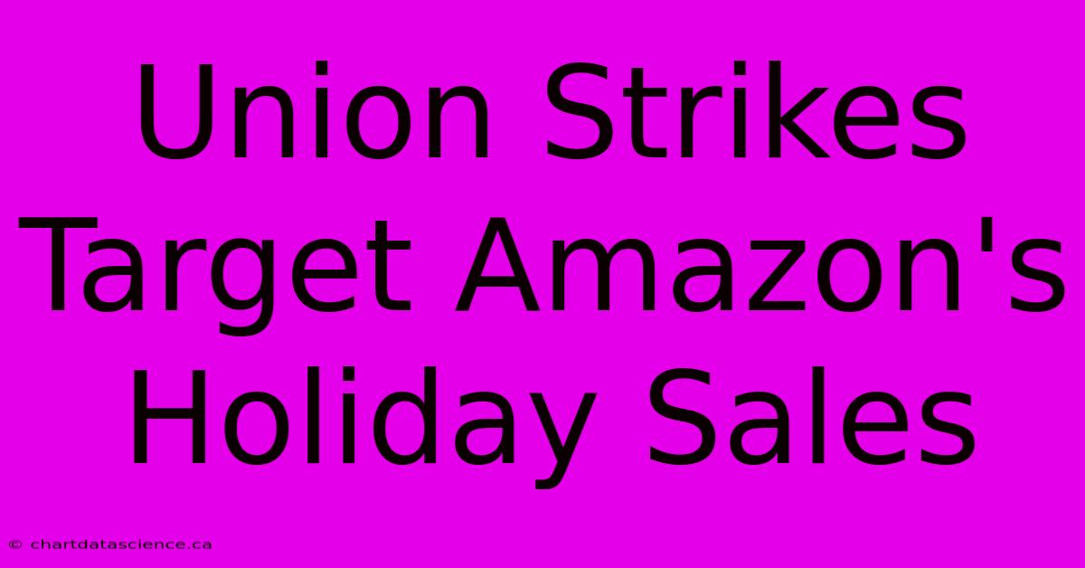 Union Strikes Target Amazon's Holiday Sales