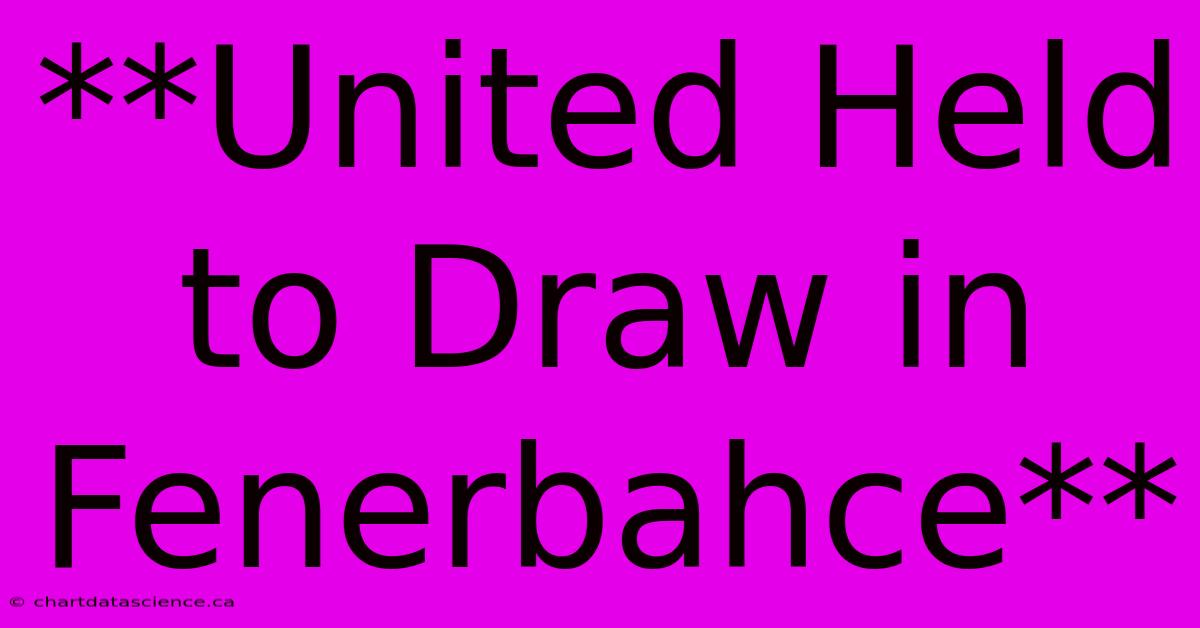 **United Held To Draw In Fenerbahce** 