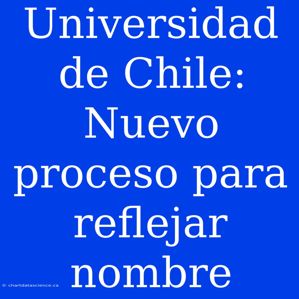 Universidad De Chile: Nuevo Proceso Para Reflejar Nombre