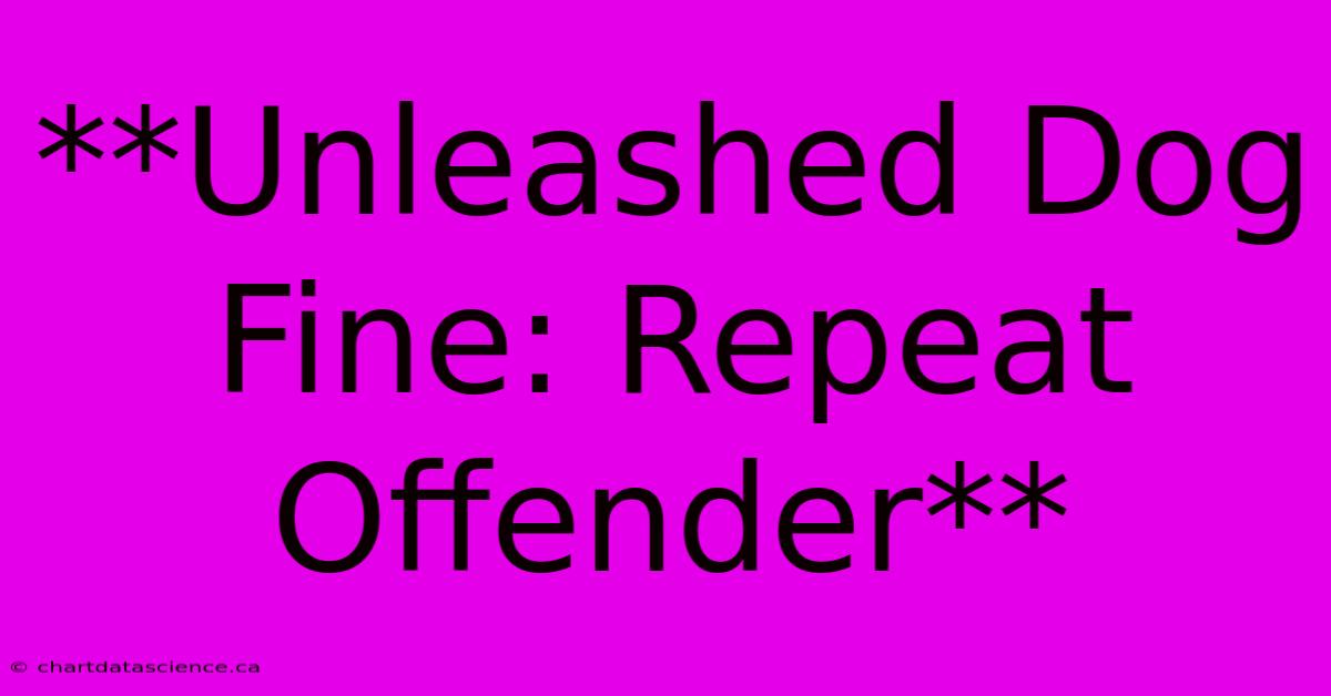 **Unleashed Dog Fine: Repeat Offender**