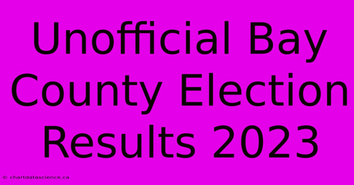 Unofficial Bay County Election Results 2023