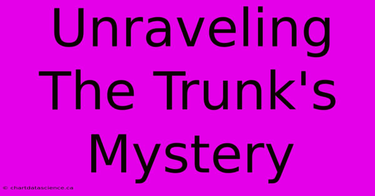 Unraveling The Trunk's Mystery