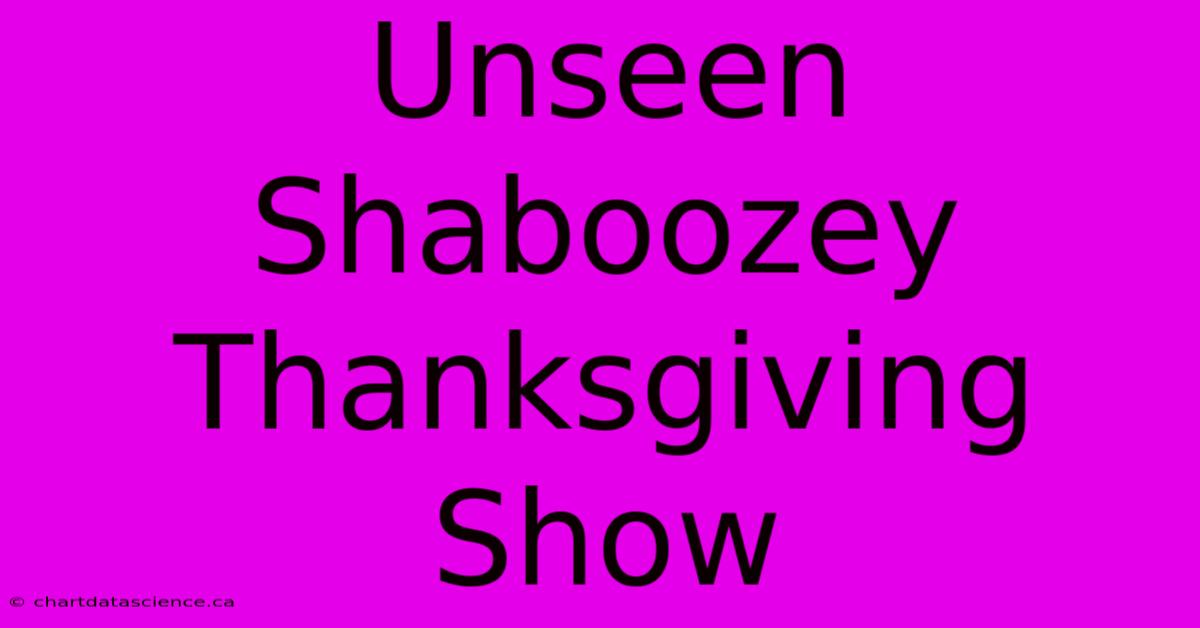 Unseen Shaboozey Thanksgiving Show