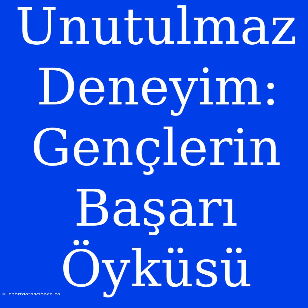 Unutulmaz Deneyim: Gençlerin Başarı Öyküsü