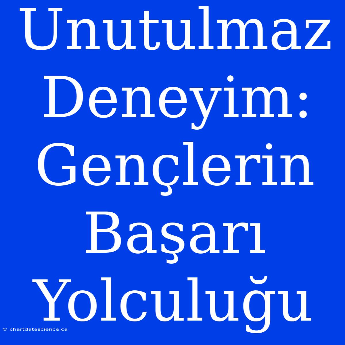 Unutulmaz Deneyim: Gençlerin Başarı Yolculuğu