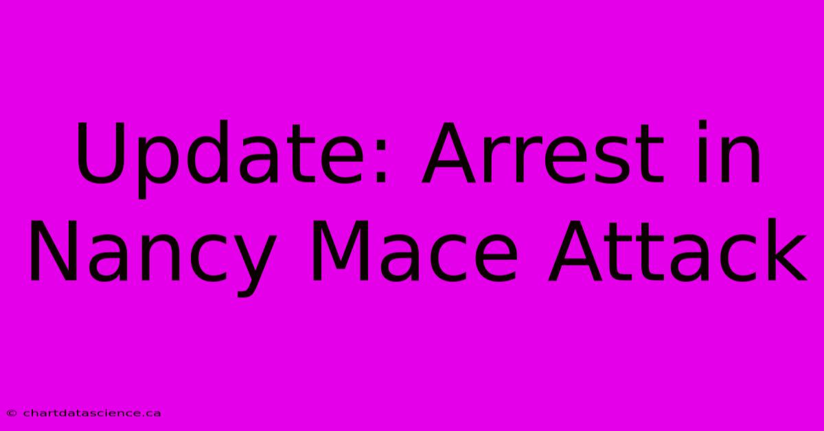 Update: Arrest In Nancy Mace Attack