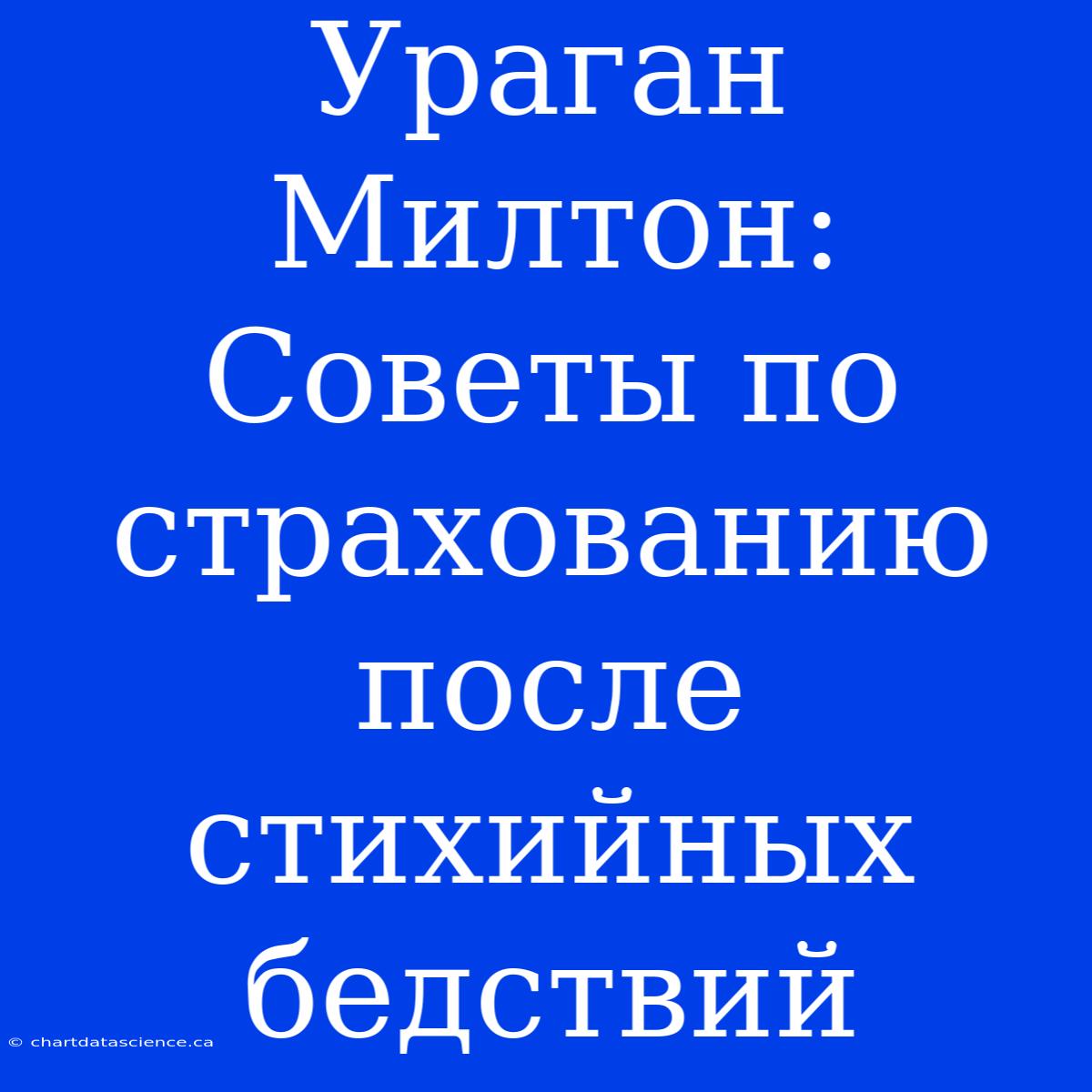 Ураган Милтон: Советы По Страхованию После Стихийных Бедствий