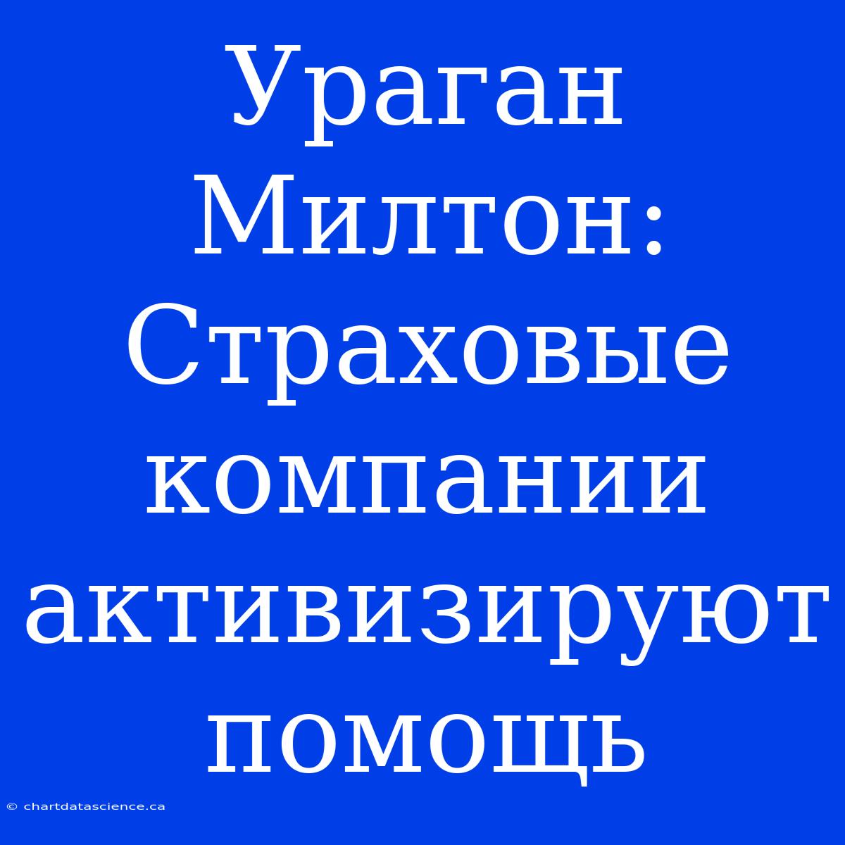 Ураган Милтон: Страховые Компании Активизируют Помощь