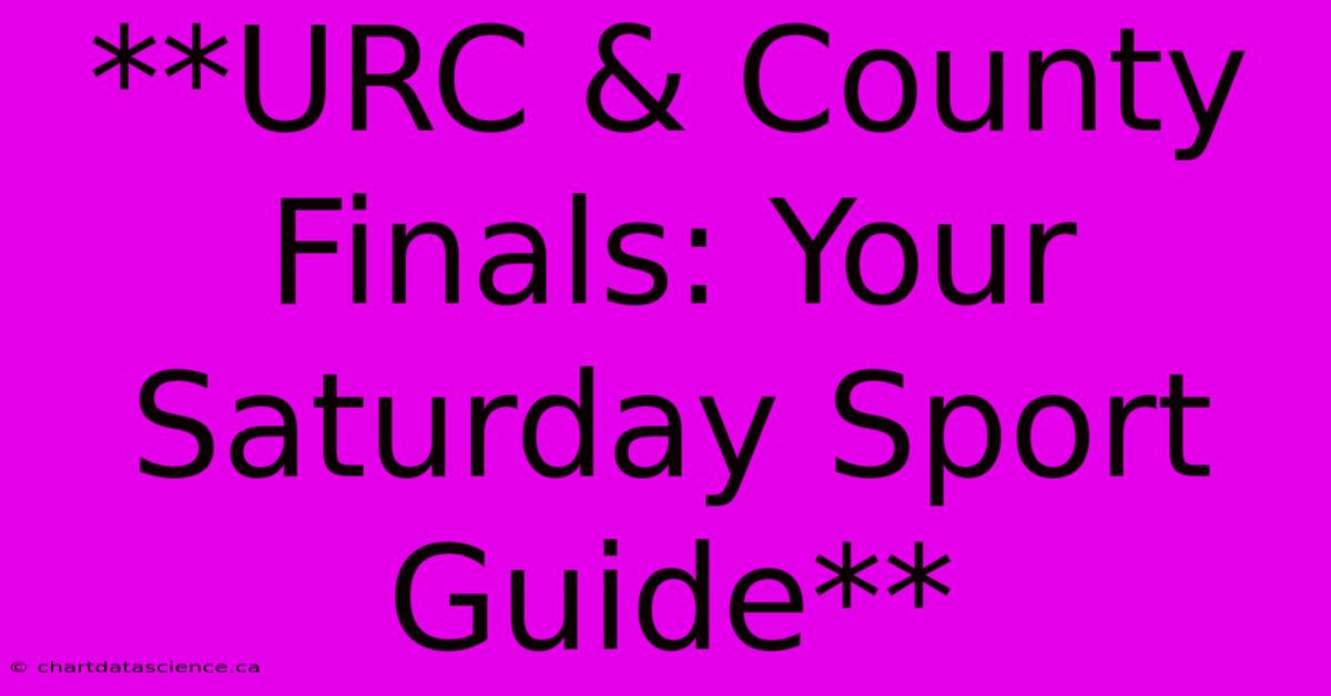 **URC & County Finals: Your Saturday Sport Guide**