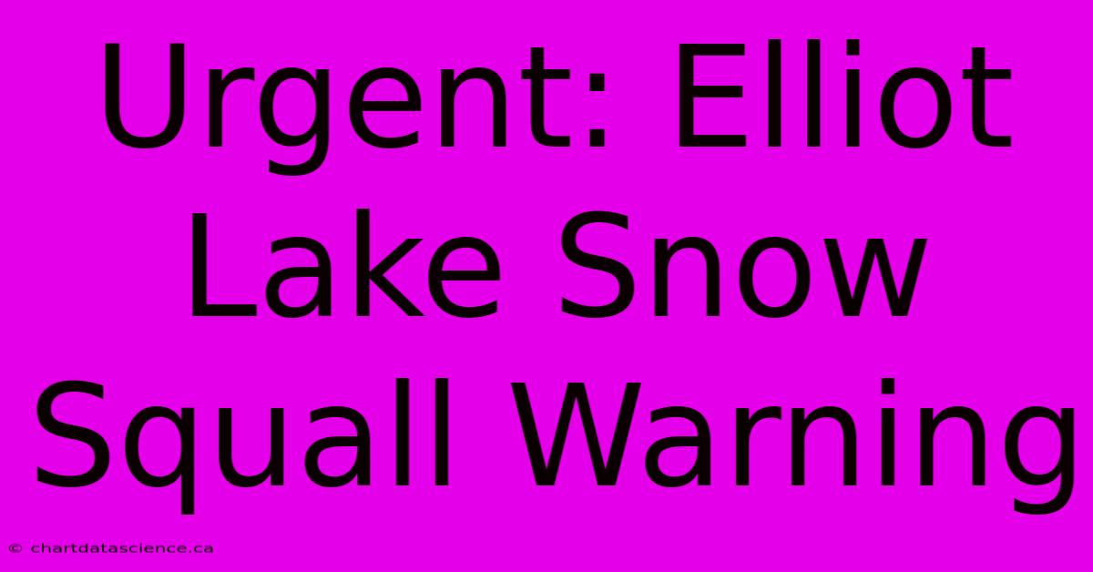 Urgent: Elliot Lake Snow Squall Warning