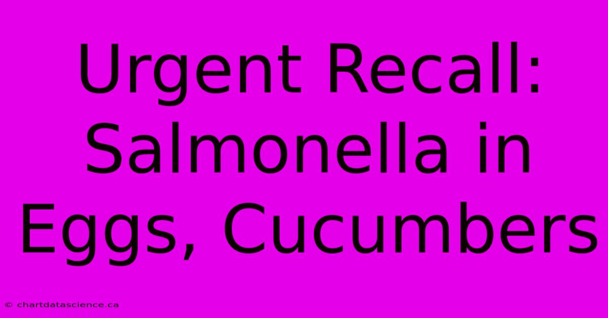 Urgent Recall: Salmonella In Eggs, Cucumbers