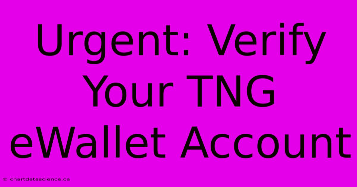 Urgent: Verify Your TNG EWallet Account