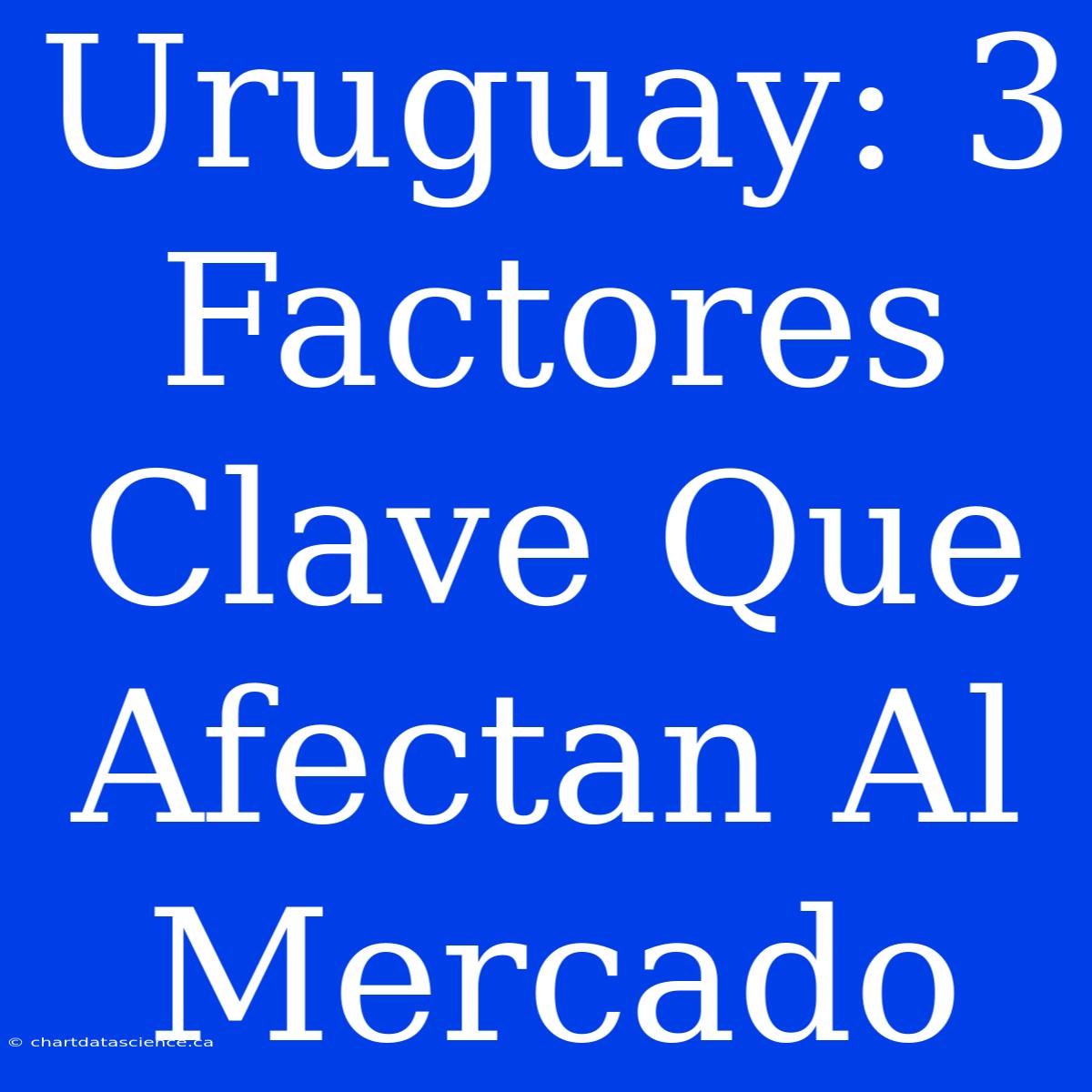 Uruguay: 3 Factores Clave Que Afectan Al Mercado