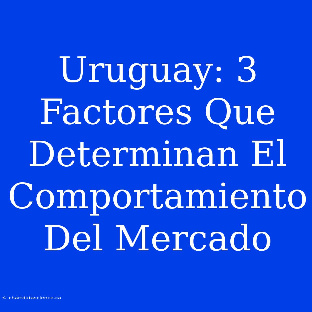 Uruguay: 3 Factores Que Determinan El Comportamiento Del Mercado