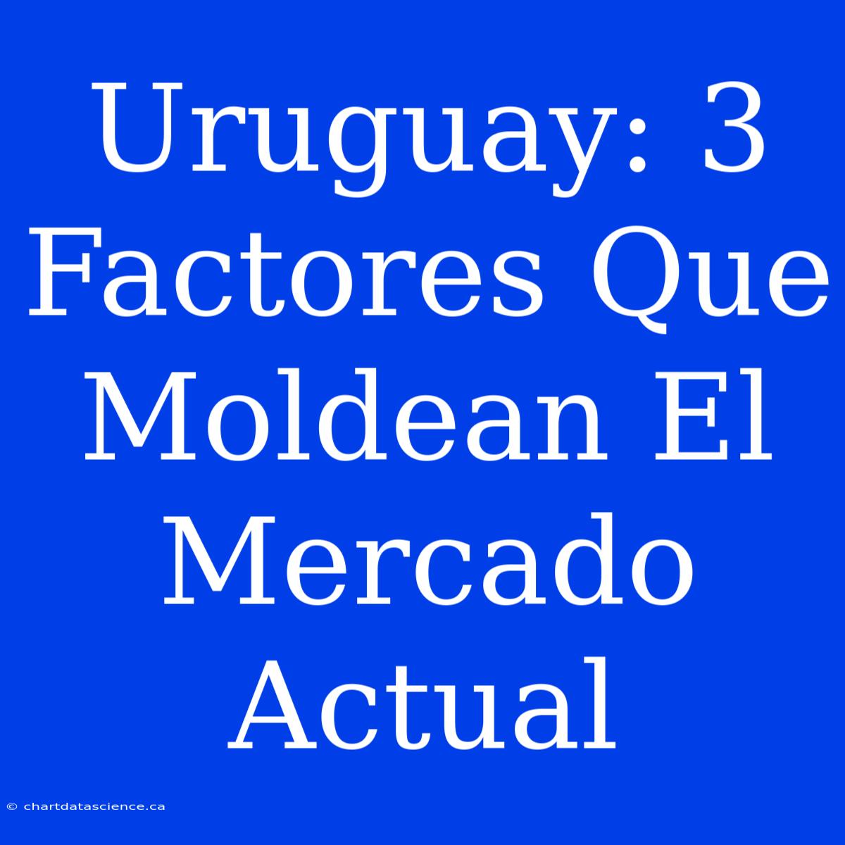 Uruguay: 3 Factores Que Moldean El Mercado Actual