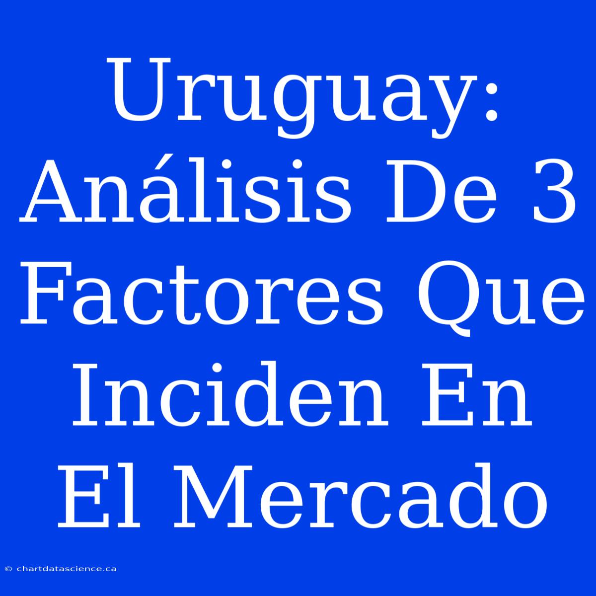 Uruguay: Análisis De 3 Factores Que Inciden En El Mercado