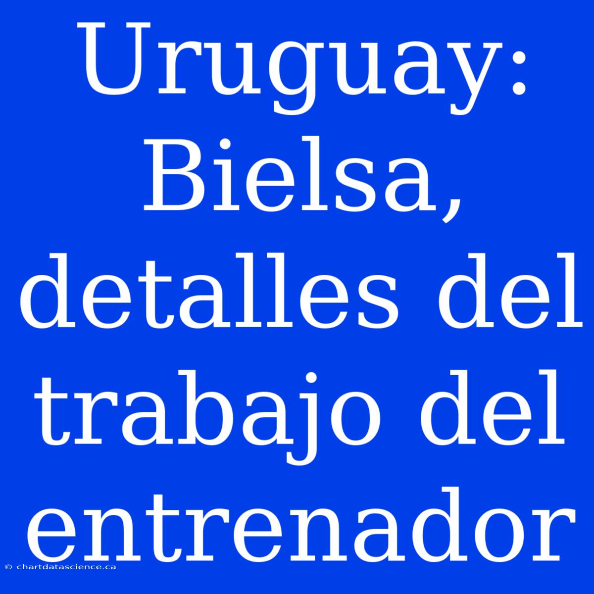 Uruguay: Bielsa, Detalles Del Trabajo Del Entrenador