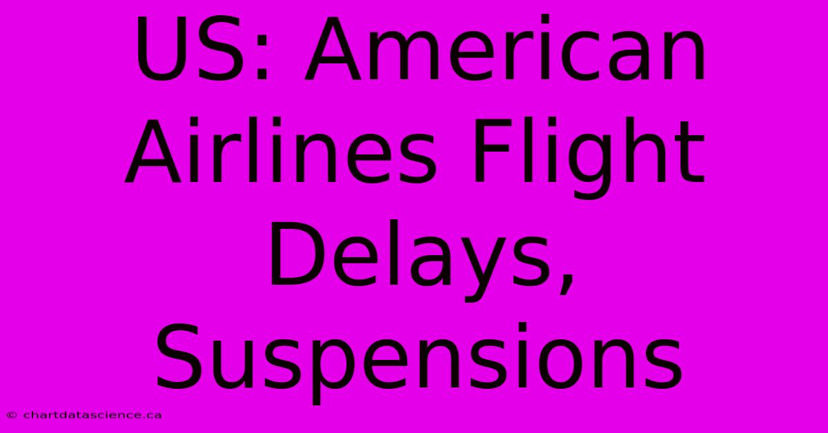 US: American Airlines Flight Delays, Suspensions