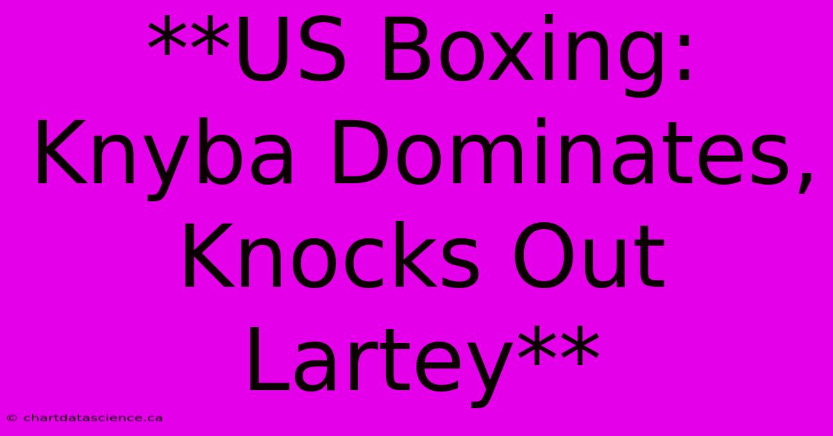 **US Boxing: Knyba Dominates, Knocks Out Lartey** 