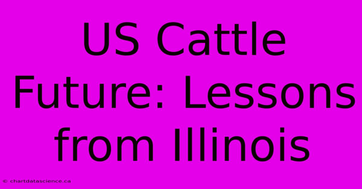 US Cattle Future: Lessons From Illinois