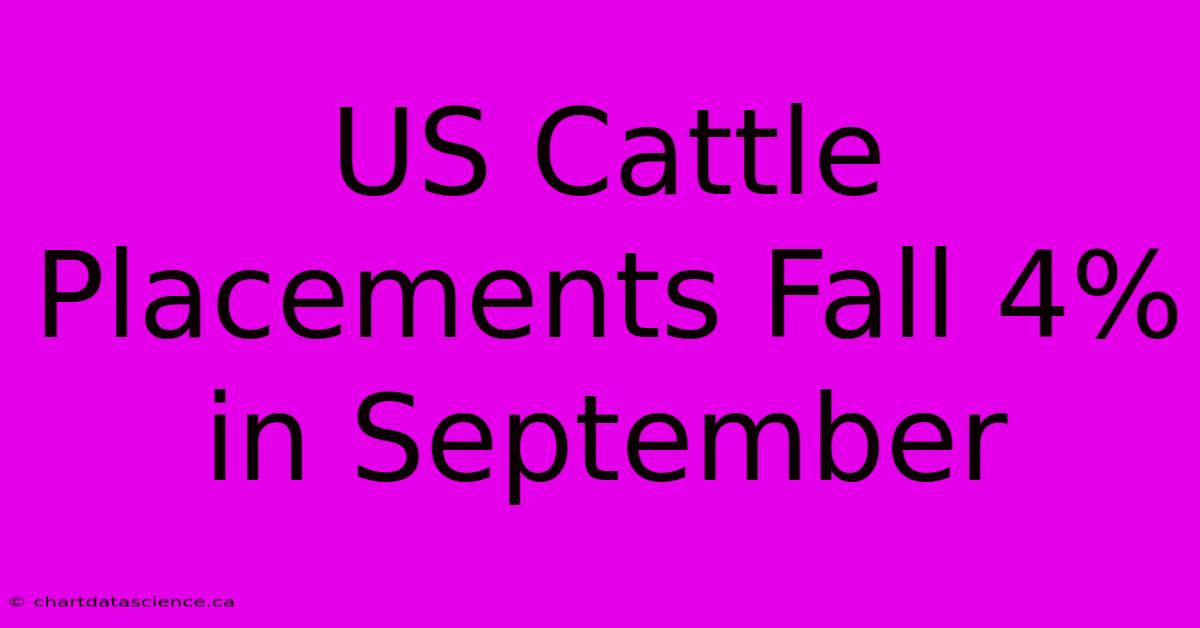 US Cattle Placements Fall 4% In September