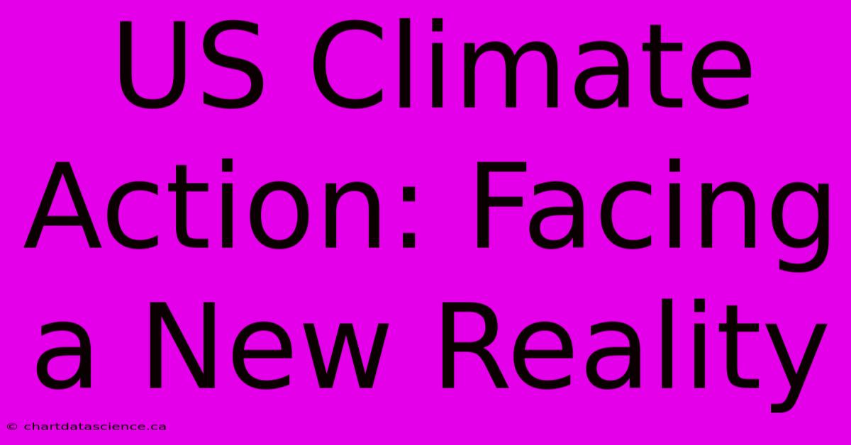 US Climate Action: Facing A New Reality 