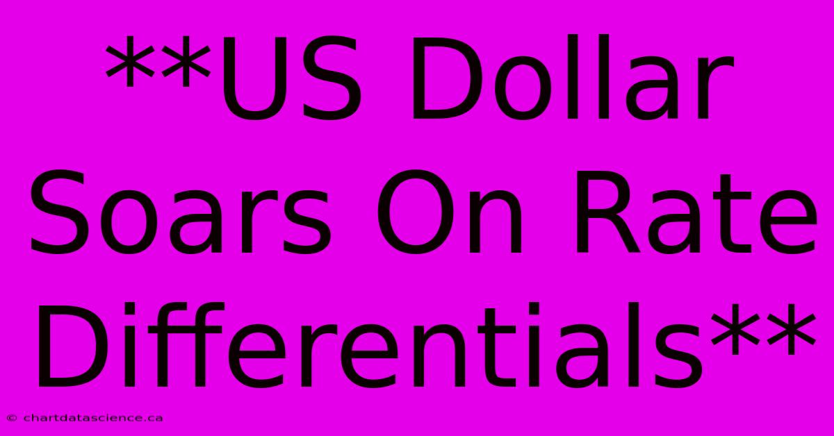 **US Dollar Soars On Rate Differentials** 