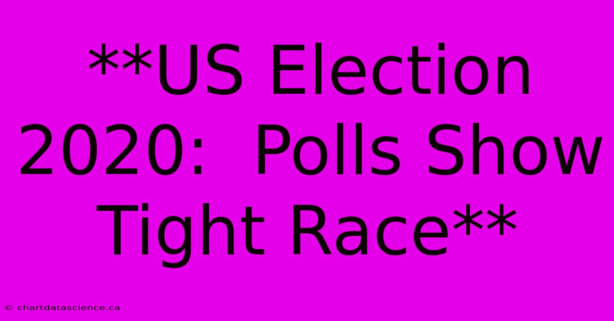 **US Election 2020:  Polls Show Tight Race** 