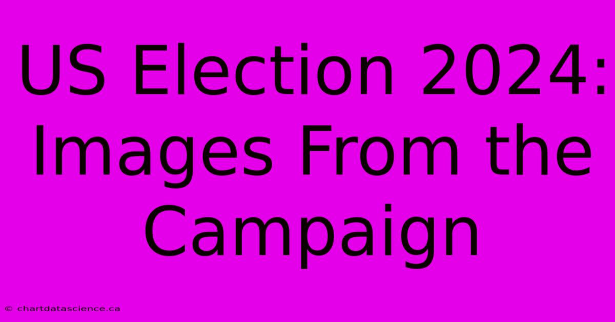 US Election 2024: Images From The Campaign