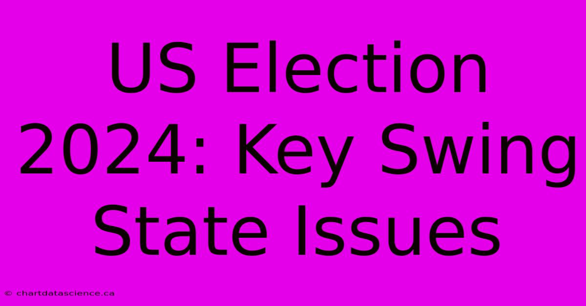 US Election 2024: Key Swing State Issues