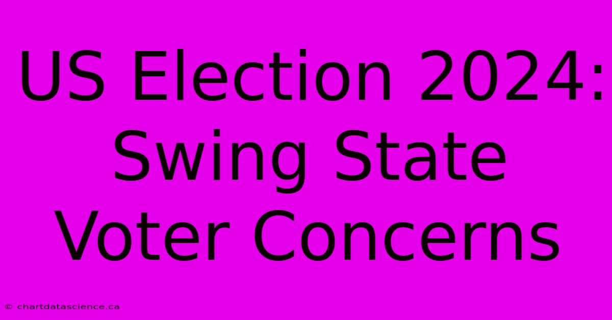 US Election 2024:  Swing State Voter Concerns 