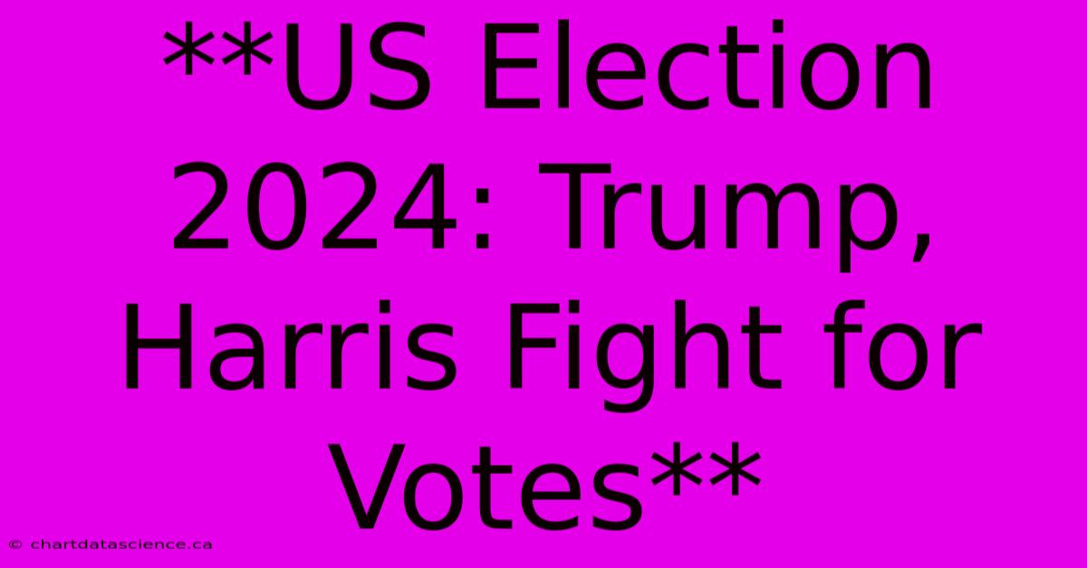 **US Election 2024: Trump, Harris Fight For Votes** 