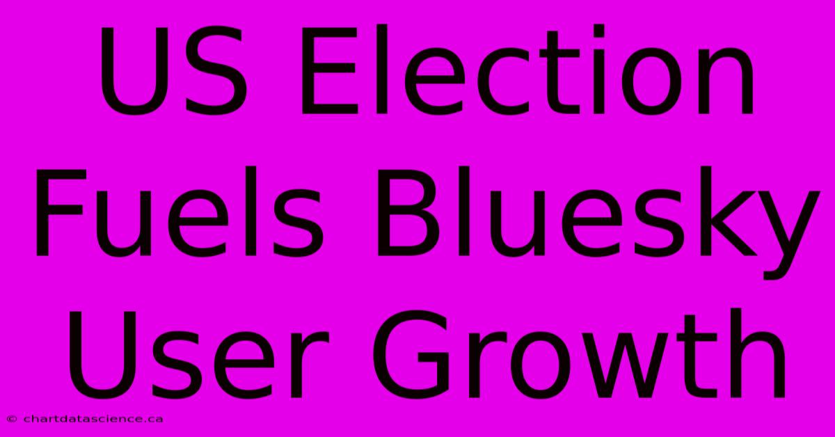 US Election Fuels Bluesky User Growth