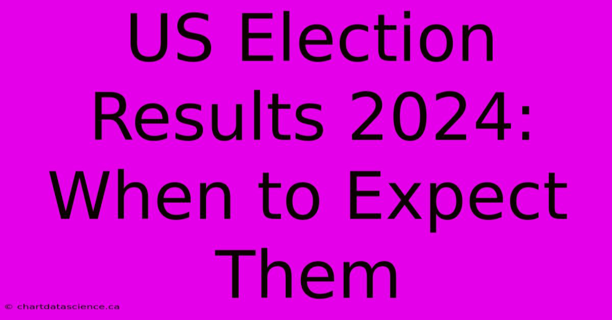 US Election Results 2024: When To Expect Them