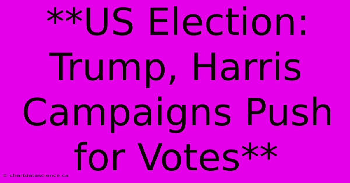 **US Election: Trump, Harris Campaigns Push For Votes** 