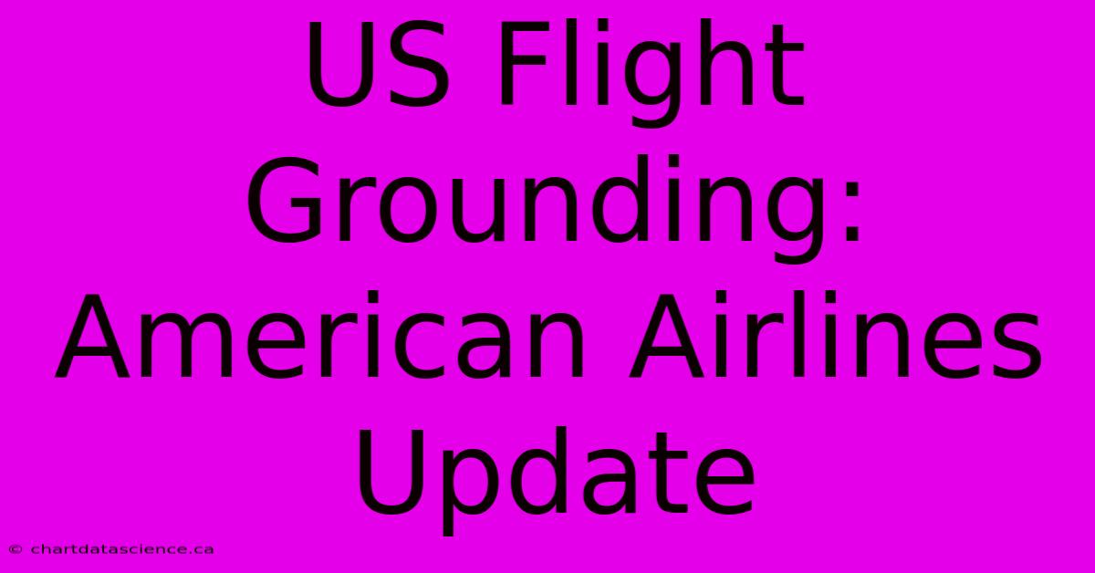 US Flight Grounding: American Airlines Update