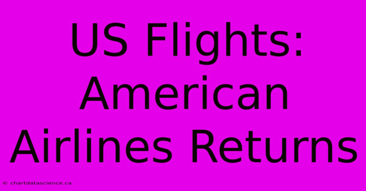 US Flights: American Airlines Returns