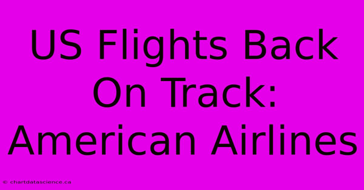 US Flights Back On Track: American Airlines